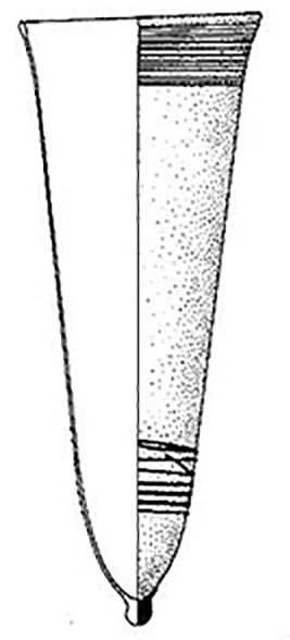 bell beaker b