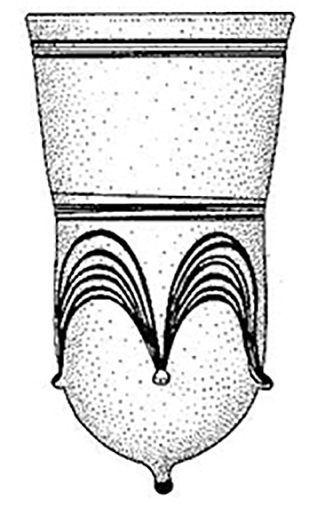 bell beaker b
