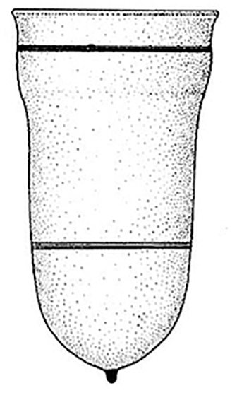 bell beaker b