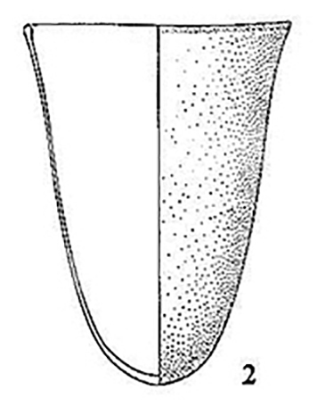 bell beaker b