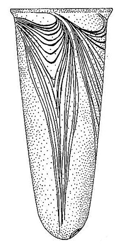 bell beaker b