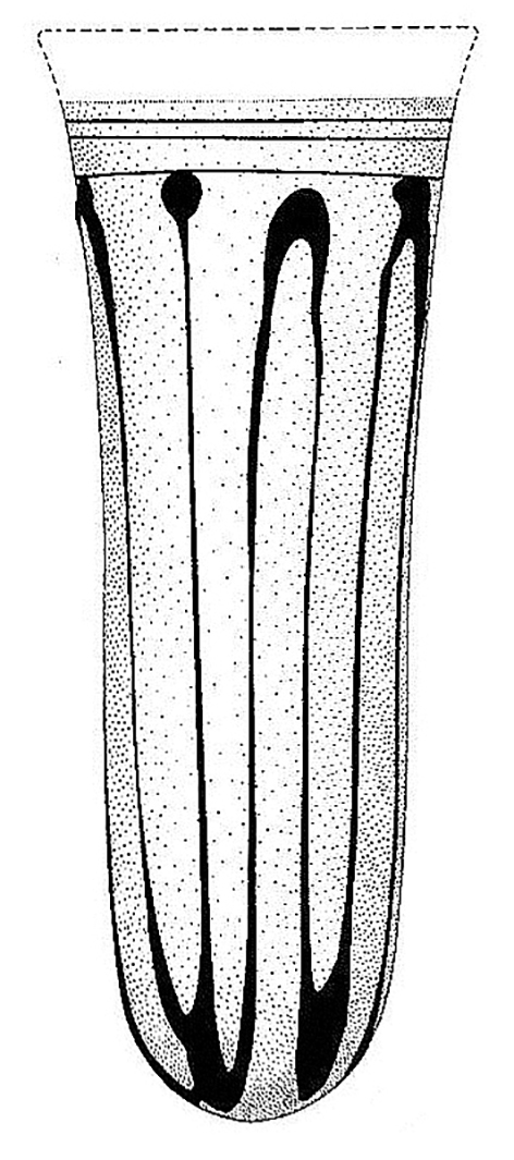 bell beaker b
