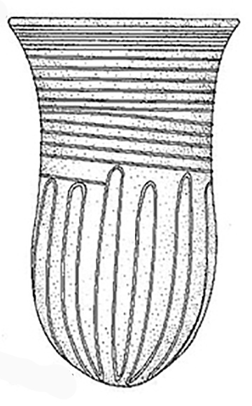 bell beaker b