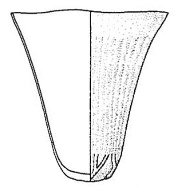 tumbler b