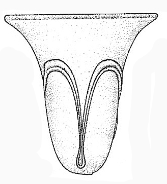 tumbler b