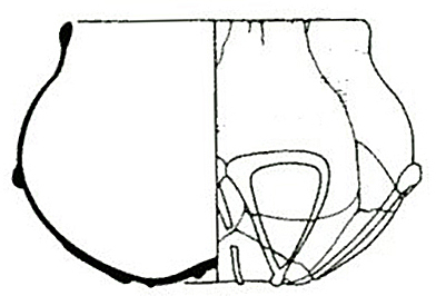 pot