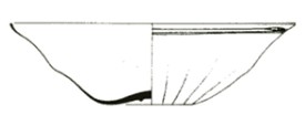 bottle