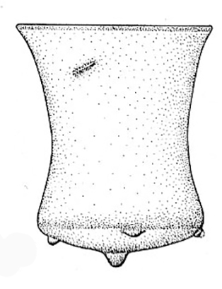 bell beaker a