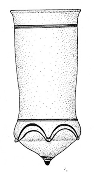 bell beaker a