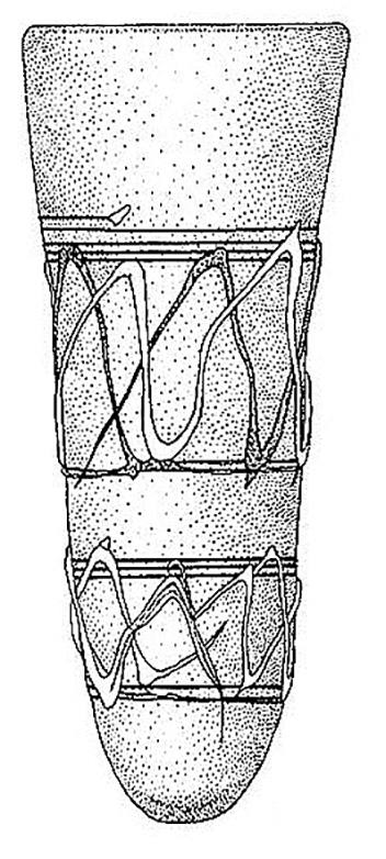 bell beakers B